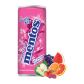 MENTOS FRUITY MIX CAN 24CL/24