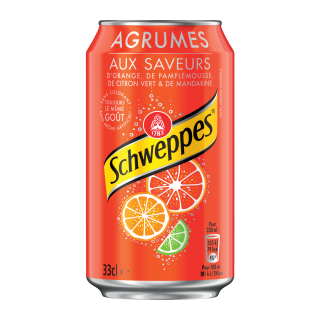 Soda Schweppes Saveur Agrumes - Fat can 33CL / 24