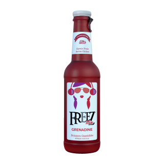 FREEZ MIX GRENADINE VP 27,5CL/24