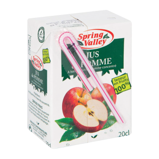 SPRING VALLEY JUS POMME BRIQUETTE 20CL PCK6