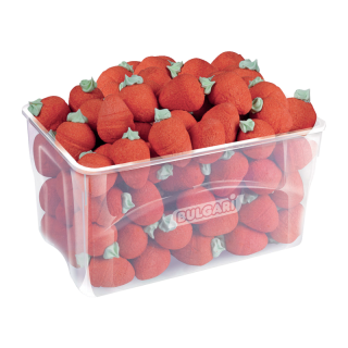 VRAC BULGARI FRAISES GEANTES 1KG