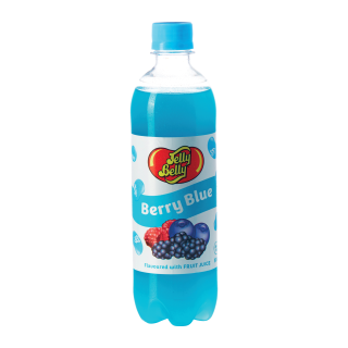 JELLY BELLY BLUEBERRY BOUTEILLE PET  50 CL /12