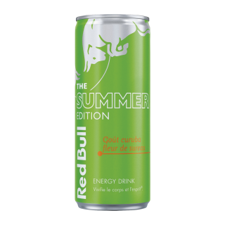 RED BULL SUMMER EDITION 2024 CANETTE 25 CL / 24